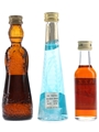 Assorted Liqueurs Casoni, Florenza & Ramazzotti 3 x 3cl-5cl