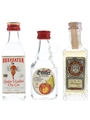 Assorted Spirits Beefeater, Obstler & Olmeca 3 x 4cl-5cl