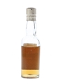 Willsher's Black Bull Bottled 1920s-1930s 5cl