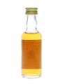 Highland Fusilier 8 Year Old 105 Proof Gordon & MacPhail 5cl / 60%