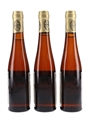 Riesling Eiswein 1978 Hochheimer Holle 3 x 35cl