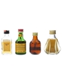 Assorted Blended Scotch Whisky Edinburgh Castle, John O'Groats, Robbie Burns & Something Special 4 x 5cl / 40%