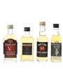 Assorted World Whisky Doble V, DYC, Swn Y Mor & Winner Black Label 4 x 3cl - 5cl