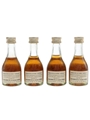 Guillot VSOP  4 x 3cl / 40%