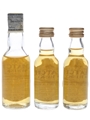 Match 5 & 8 Year Old  3 x 3cl-4.7cl / 43%