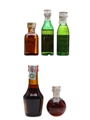 Assorted Liqueurs Bottled 1970s - Cointreau, Pernod, Tia Maria, Zwack 5 x 2cl-4.5cl