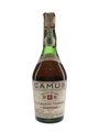 Camus Celebration Cognac Bottled 1960s 70cl / 40%