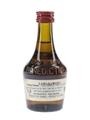 Benedictine DOM  5cl / 40%