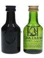 Cock O' The North & Wallace  2 x 5cl / 35%