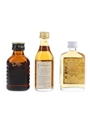 Hardy's Black Bottle, St Agnes & Tolley's Australian Brandy 3 x 5cl