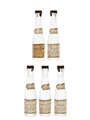 Rusbaumer Eaux-De-Vie Framboise d'Alsace, Mirabelle, Poire Williams, Prunelle de Buissons & Quetsch 5 x 3cl / 45%