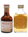 Drambuie & Hot Toddy  2 x 5cl