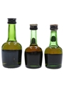 Courvoisier VSOP  3 x 2.5cl-5cl / 40%
