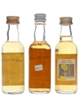 Pig's Nose Finest  3 x 4.7cl-5cl