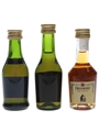 Bisquit, Camus & Hennessy  3 x 3cl-5cl / 40%