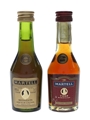 Martell Medaillon VSOP  2 x 3cl / 40%