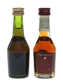 Martell Medaillon VSOP  2 x 3cl / 40%