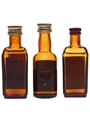 St Gilles Rhum  3 x 3cl / 45%