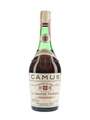 Camus Celebration Bottled 1960s - La Grande Marque 73cl / 40%