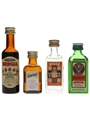 Assorted Liqueurs Bergia, Cointreau, Jagermeister & Stock 4 x 2cl-3.8cl