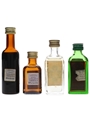 Assorted Liqueurs Bergia, Cointreau, Jagermeister & Stock 4 x 2cl-3.8cl