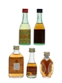 Assorted Brandy Bobadilla, Branca, Fundador & Vecchia Romagna 5 x 2cl-5cl
