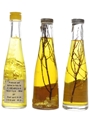 Isolabella Fior D'Alpe Dessert Liqueur Bottled 1960s 3 x 4.8cl-5cl