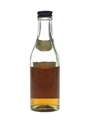 Martell 3 Star VOP Bottled 1950s 5cl / 40%