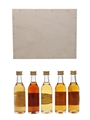 Brillet Cognac, Pineau And Liqueur Set  5 x 5cl