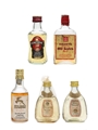 Assorted World Whisky  5 x Miniatures