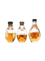 Assorted Blended Scotch Whisky 3 x 5cl