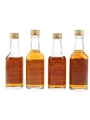 Wild Turkey 80 Proof, 101 Proof, 8 Year Old & Rye 4 x 5cl