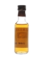 Aberlour 10 Year Old  5cl / 40%