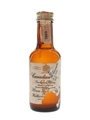 Canadian Club 1969  4.7cl / 40%