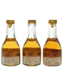 Camille Chapt & Co. 3 Star & Napoleon Cognac Bottled 1960s - Balossini Import 3 x 3cl / 40%