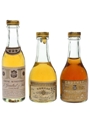 Gautret Cognac & Pineau Des Charentes Bottled 1970s 3 x 2.5cl