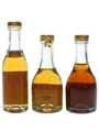 Gautret Cognac & Pineau Des Charentes Bottled 1970s 3 x 2.5cl