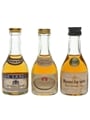 De Laage, De Royanne & Marnier Lapostolle Cognac Bottled 1970s 3 x 3cl-3.5cl / 40%
