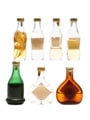 Bocchino Grappa & Brandy 7 x 5cl