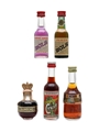 Assorted Liqueurs Bols, Chambord, Cynar, Marie Brizard 5 x 3cl-5cl
