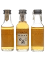Oban 14 Year Old  3 x 5cl / 43%