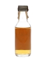 Oban 14 Year Old  5cl / 43%
