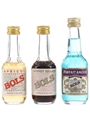 Bols Apricot, Cherry & Parfait Amour Bottled 1970s & 1980s 3 x 5cl / 27.3%