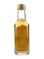 Bowmore 10 Year Old Forth Bridge Centennial 1990 5cl / 40%