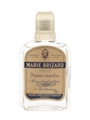 Marie Brizard Anisette Bottled 1960s 20cl