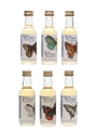 British Butterfly Collection Miniatures The Whisky Connoisseur 6 x 5cl / 40%