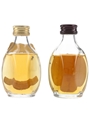 Haig's Dimple 1970s & 1990s 2 x 5cl