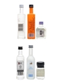 Assorted Vodka Chase, Ketel One, Snow Queen, 42 Below, St George, Kleiner Feigling 6 x 2-5cl