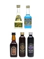 Assorted Liqueurs Bols, Black Balsam, Heering 5 x 4cl-5cl