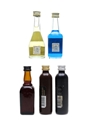 Assorted Liqueurs Bols, Black Balsam, Heering 5 x 4cl-5cl